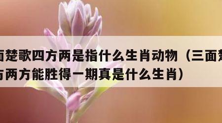 三面楚歌四方两是指什么生肖动物（三面楚歌四方两方能胜得一期真是什么生肖）