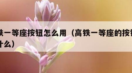 高铁一等座按钮怎么用（高铁一等座的按键都是什么）