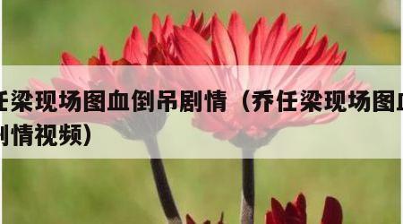 乔任梁现场图血倒吊剧情（乔任梁现场图血倒吊剧情视频）