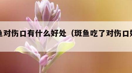 斑鱼对伤口有什么好处（斑鱼吃了对伤口好吗）