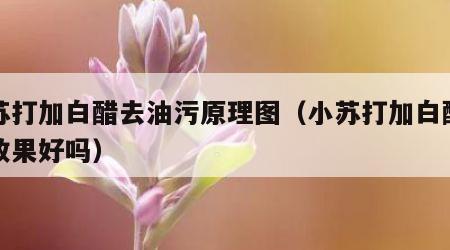 小苏打加白醋去油污原理图（小苏打加白醋去污效果好吗）