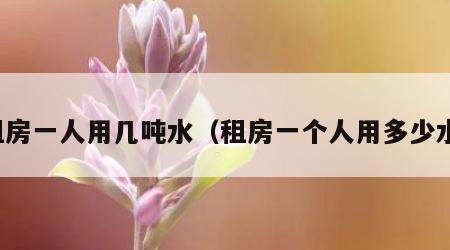 租房一人用几吨水（租房一个人用多少水）