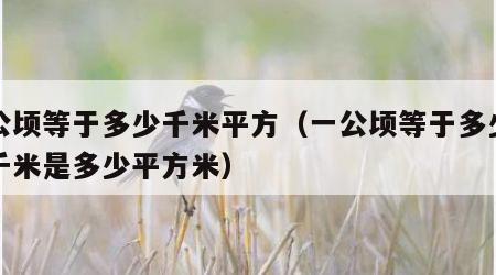 一公顷等于多少千米平方（一公顷等于多少平方千米是多少平方米）