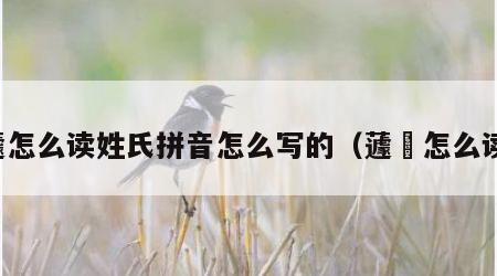蘧怎么读姓氏拼音怎么写的（蘧篨怎么读）