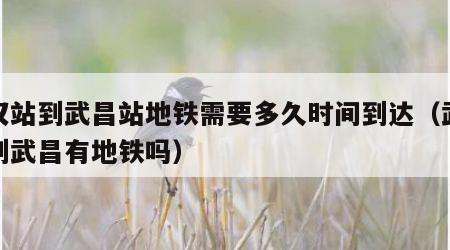 武汉站到武昌站地铁需要多久时间到达（武汉站到武昌有地铁吗）