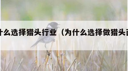 为什么选择猎头行业（为什么选择做猎头面试）