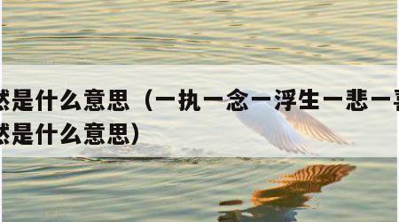 枉然是什么意思（一执一念一浮生一悲一喜一枉然是什么意思）