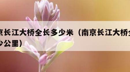 南京长江大桥全长多少米（南京长江大桥全长多少公里）