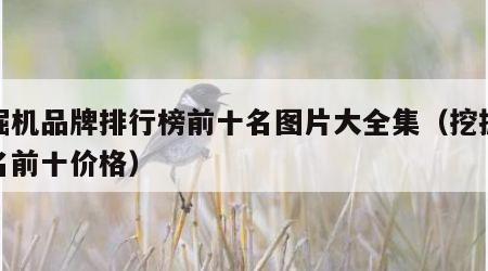 挖掘机品牌排行榜前十名图片大全集（挖掘机排名前十价格）
