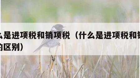 什么是进项税和销项税（什么是进项税和销项税的区别）