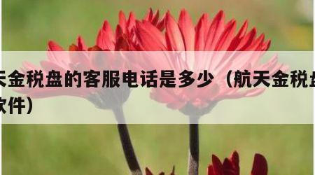 航天金税盘的客服电话是多少（航天金税盘客服软件）