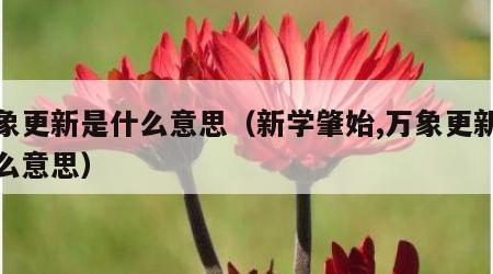 万象更新是什么意思（新学肇始,万象更新是什么意思）