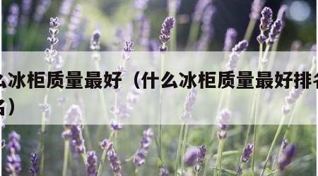 什么冰柜质量最好（什么冰柜质量最好排名前十名）