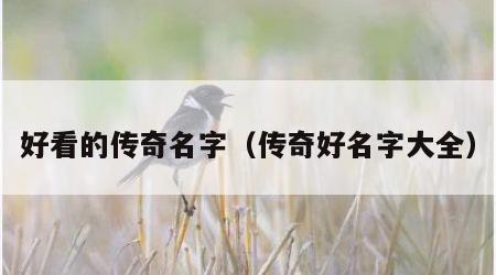 好看的传奇名字（传奇好名字大全）