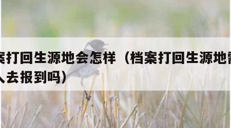 档案打回生源地会怎样（档案打回生源地需要本人去报到吗）