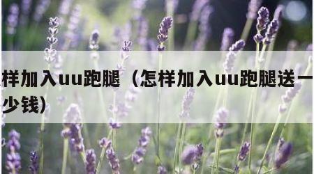 怎样加入uu跑腿（怎样加入uu跑腿送一单多少钱）