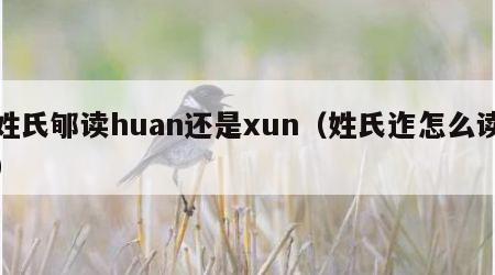 姓氏郇读huan还是xun（姓氏迮怎么读）