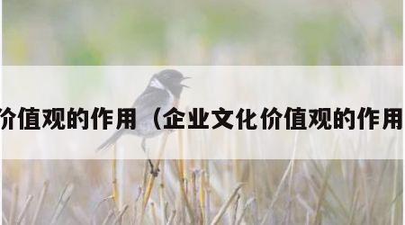 价值观的作用（企业文化价值观的作用）