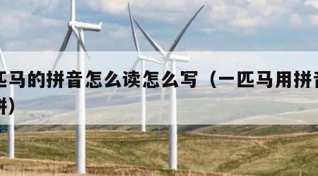 一匹马的拼音怎么读怎么写（一匹马用拼音怎么拼）