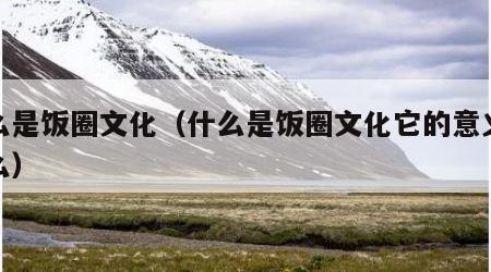 什么是饭圈文化（什么是饭圈文化它的意义是什么）