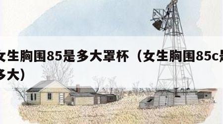 女生胸围85是多大罩杯（女生胸围85c是多大）
