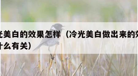 冷光美白的效果怎样（冷光美白做出来的效果和什么有关）