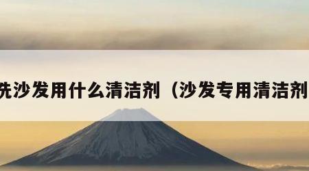 洗沙发用什么清洁剂（沙发专用清洁剂）