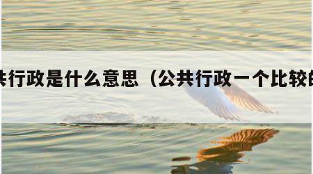 公共行政是什么意思（公共行政一个比较的视角）