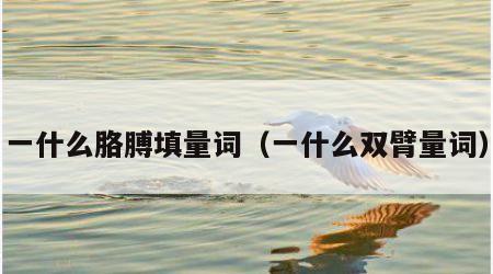 一什么胳膊填量词（一什么双臂量词）