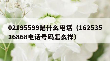 02195599是什么电话（16253516868电话号码怎么样）