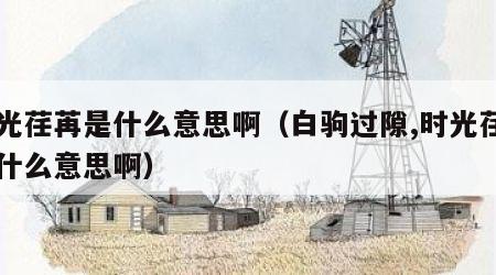 时光荏苒是什么意思啊（白驹过隙,时光荏苒是什么意思啊）