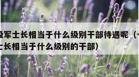 一级军士长相当于什么级别干部待遇呢（一级军士长相当于什么级别的干部）