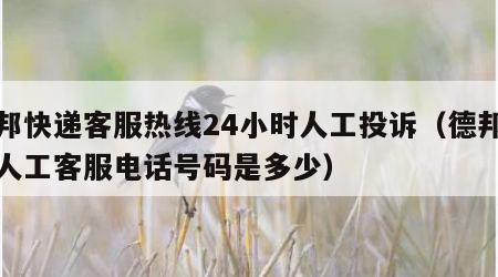 德邦快递客服热线24小时人工投诉（德邦快递人工客服电话号码是多少）