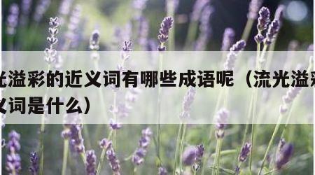 流光溢彩的近义词有哪些成语呢（流光溢彩的近义词是什么）