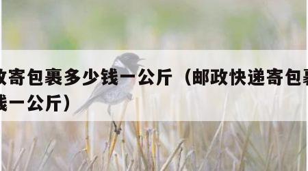 邮政寄包裹多少钱一公斤（邮政快递寄包裹多少钱一公斤）