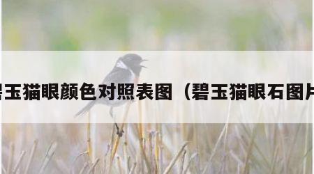 碧玉猫眼颜色对照表图（碧玉猫眼石图片）