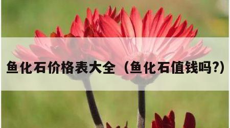 鱼化石价格表大全（鱼化石值钱吗?）