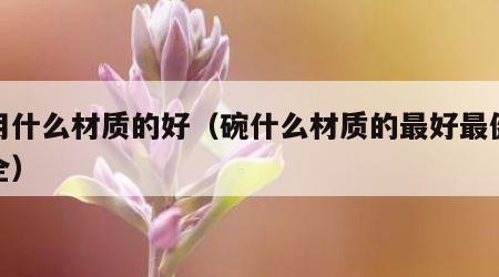 碗用什么材质的好（碗什么材质的最好最健康安全）