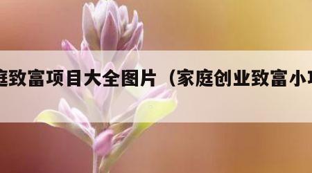 家庭致富项目大全图片（家庭创业致富小项目）