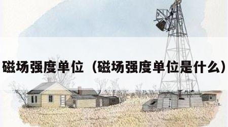 磁场强度单位（磁场强度单位是什么）