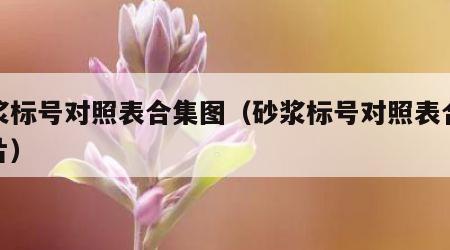 砂浆标号对照表合集图（砂浆标号对照表合集图片）
