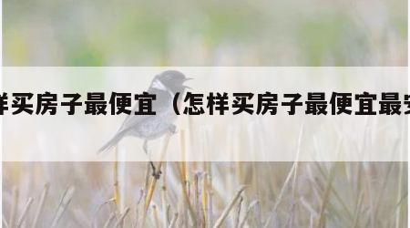 怎样买房子最便宜（怎样买房子最便宜最安全）