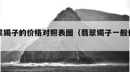 翡翠镯子的价格对照表图（翡翠镯子一般价格）