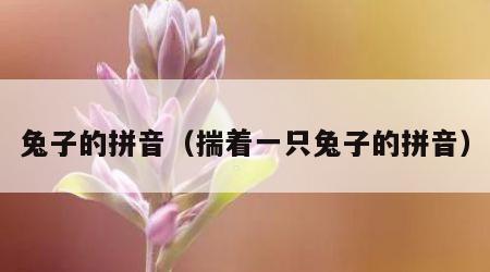 兔子的拼音（揣着一只兔子的拼音）