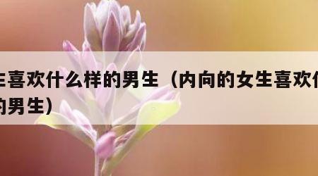 女生喜欢什么样的男生（内向的女生喜欢什么样的男生）