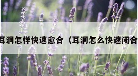 耳洞怎样快速愈合（耳洞怎么快速闭合）