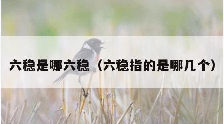 六稳是哪六稳（六稳指的是哪几个）