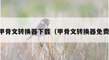 甲骨文转换器下载（甲骨文转换器免费）