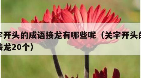 关字开头的成语接龙有哪些呢（关字开头的成语接龙20个）