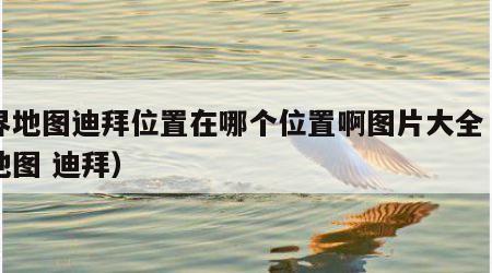 世界地图迪拜位置在哪个位置啊图片大全（世界地图 迪拜）